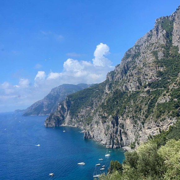 Meet your Posher, Scarlett - Picture 1 of 1